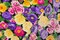 Purple-Pink-Multi Rayon Floral Printed Voile Woven Fabric By the Yard